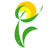 food traceability